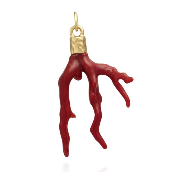 Charm argento 925 corallo rosso dorato