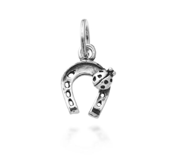 Charms argento 925 ferro di cavallo coccinella Gio